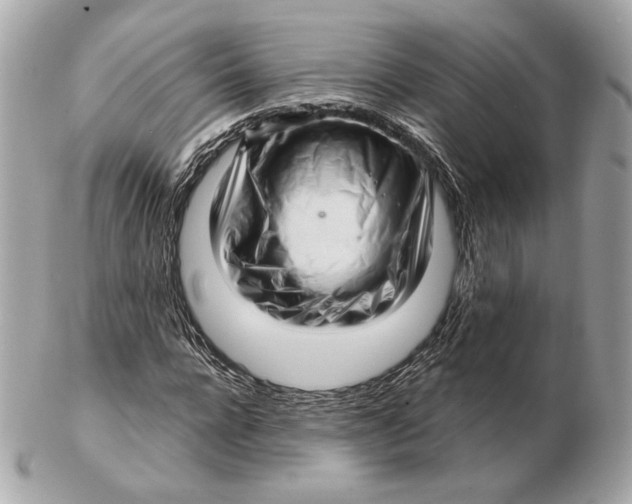 X0000102500920200808291708