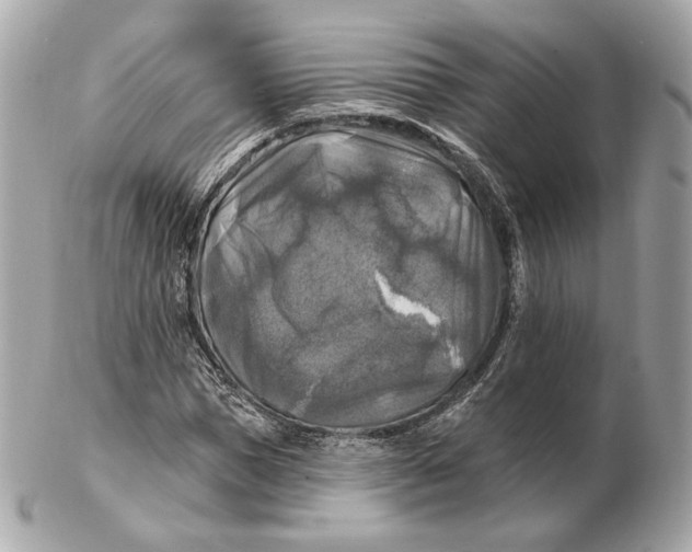 X0000102500921200808291708