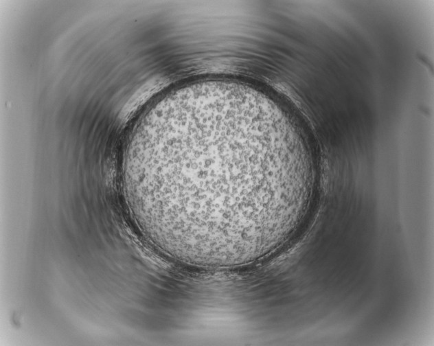 X0000102500922200808291708