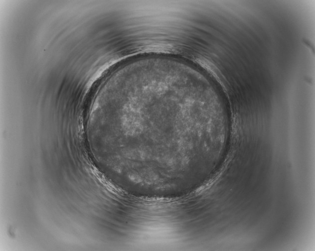 X0000102500923200808291708