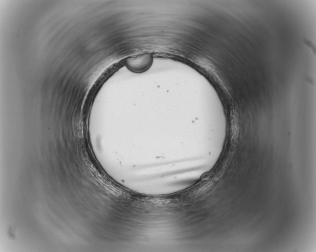 X0000102500924200808291708