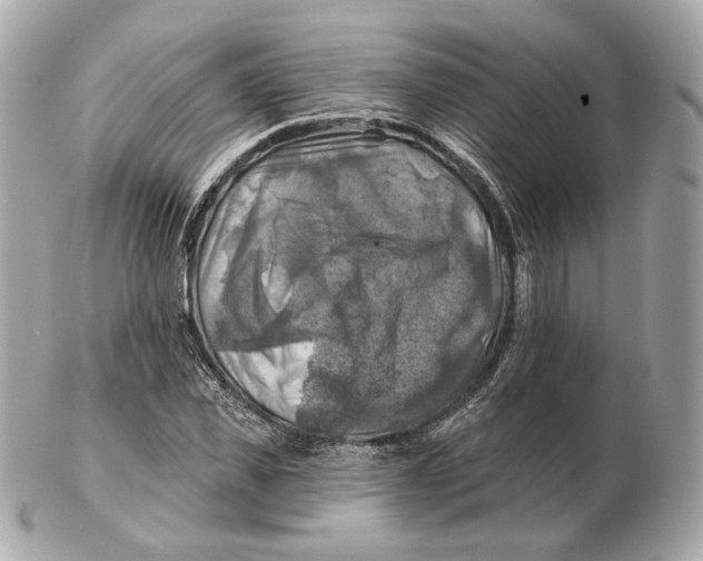 X0000102500925200808291708