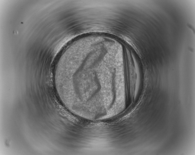 X0000102500926200808291708