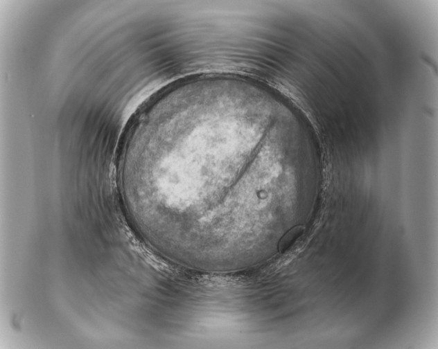 X0000102500928200808291708