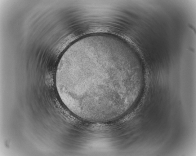 X0000102500929200808291708