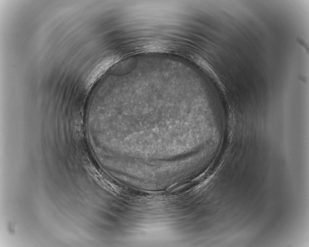 X0000102500930200808291708