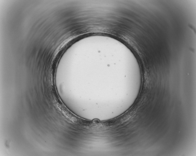 X0000102500931200808291708