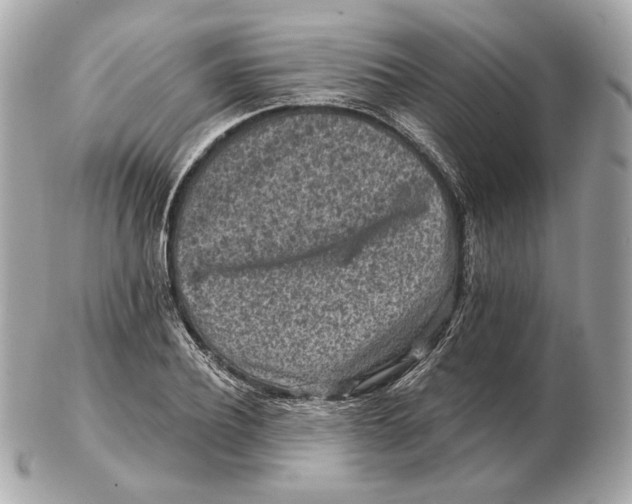 X0000102500932200808291708