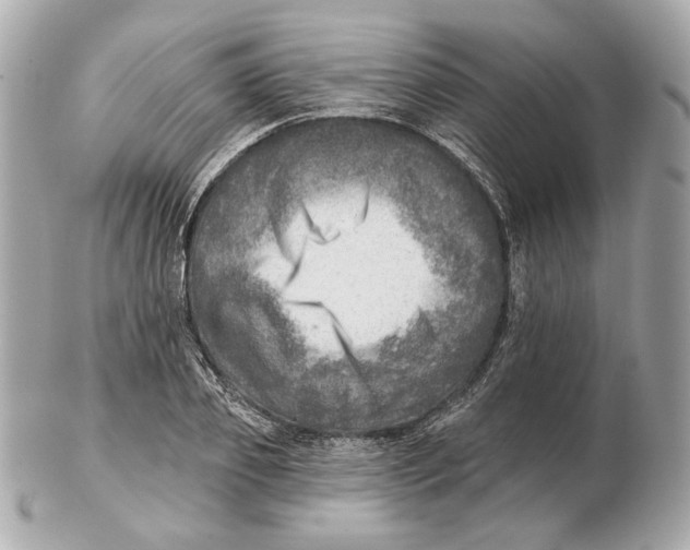 X0000102500933200808291708