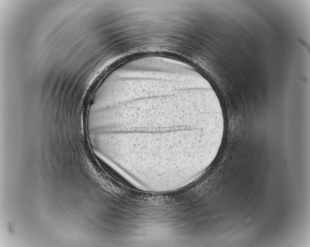 X0000102500934200808291708