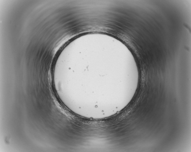 X0000102500936200808291708