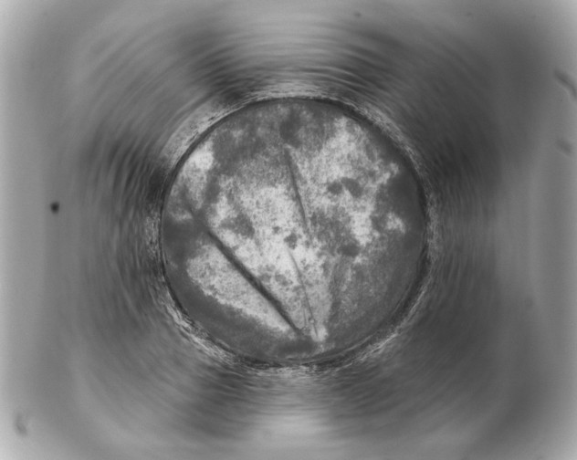 X0000102500937200808291708