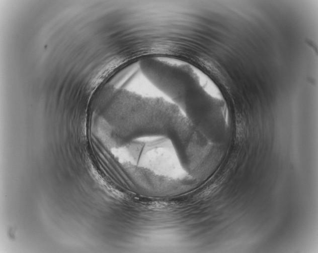 X0000102500938200808291708