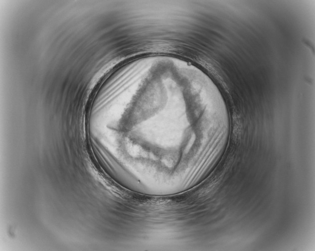 X0000102500939200808291708