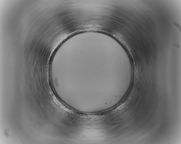 X0000102500941200808291708