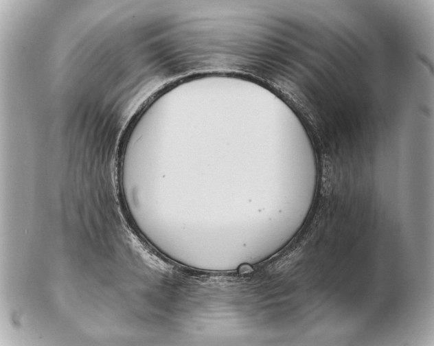 X0000102500942200808291708