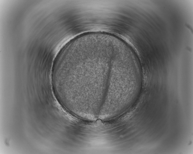 X0000102500943200808291708