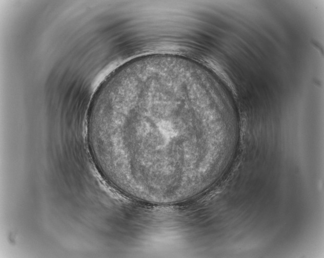 X0000102500944200808291708