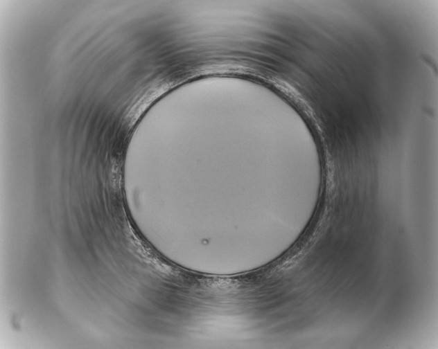 X0000102500945200808291708