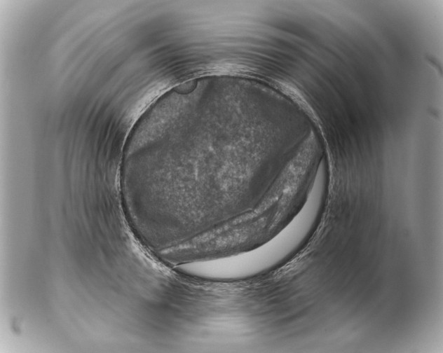 X0000102500946200808291708