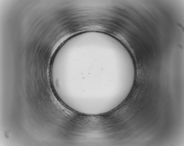 X0000102500947200808291708