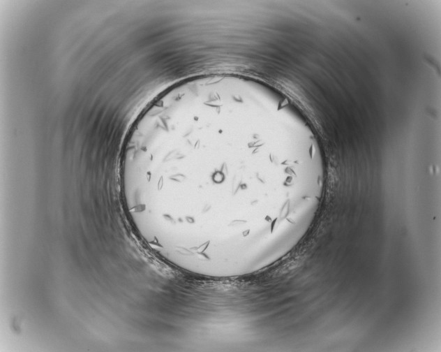 X0000102500948200808291708