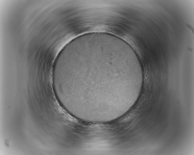 X0000102500950200808291708