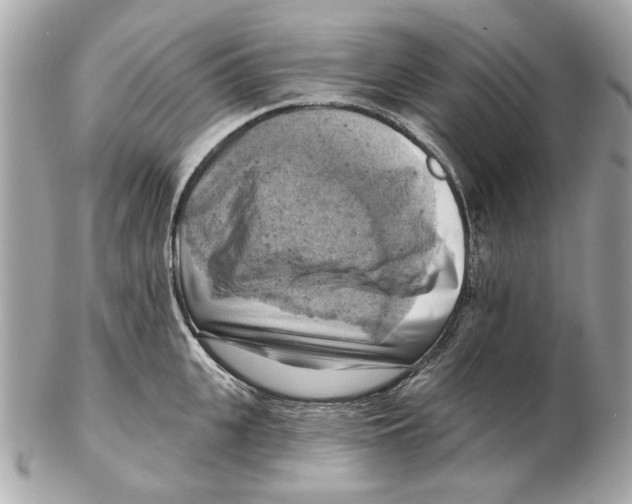 X0000102500951200808291708