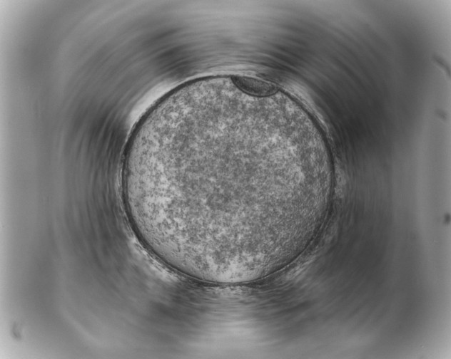 X0000102500952200808291708