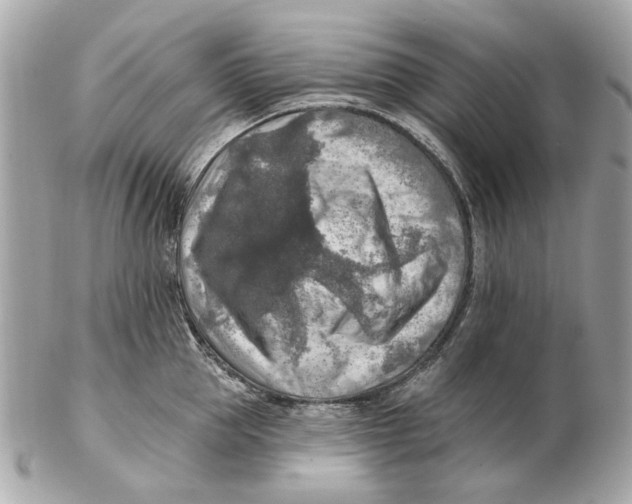 X0000102500953200808291708