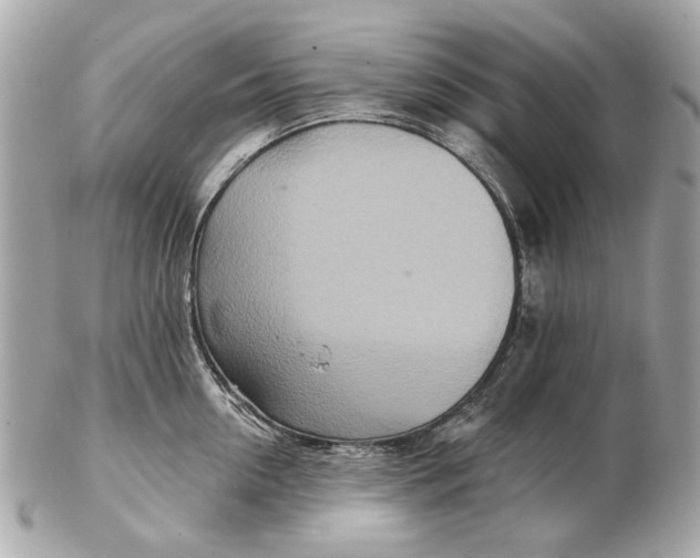 X0000102500954200808291708