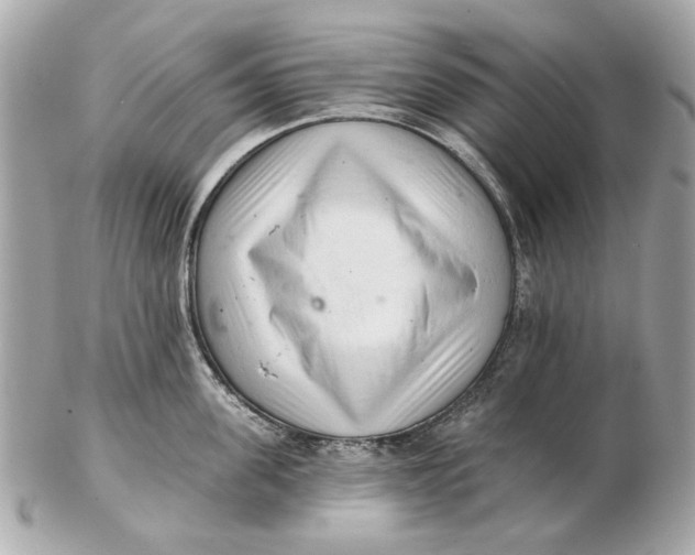 X0000102500955200808291708