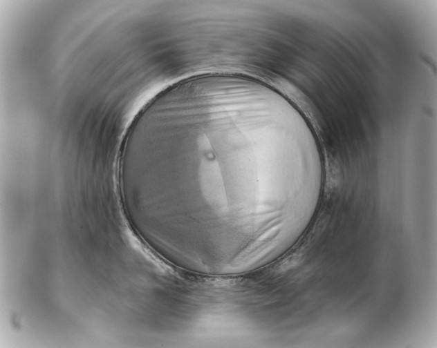 X0000102500958200808291708