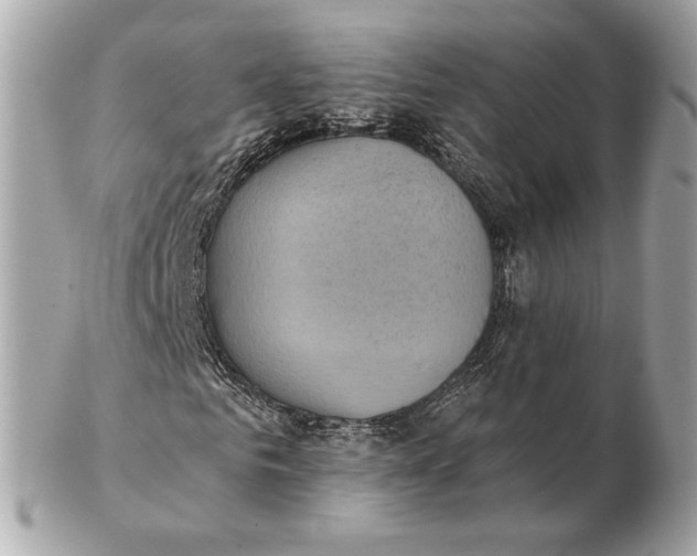 X0000102500961200808291708