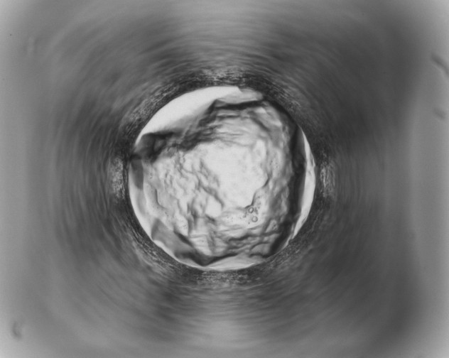 X0000102500963200808291708