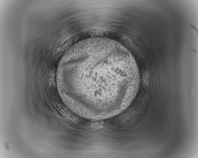 X0000102500964200808291708