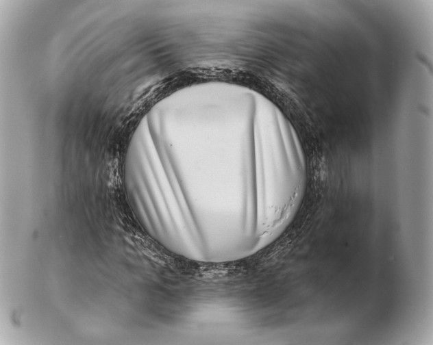 X0000102500965200808291708