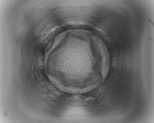 X0000102500966200808291708