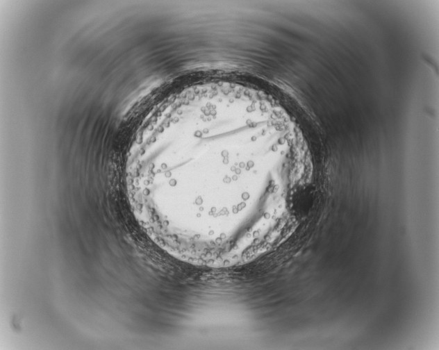 X0000102500967200808291708