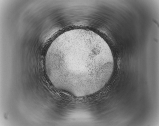 X0000102500968200808291708