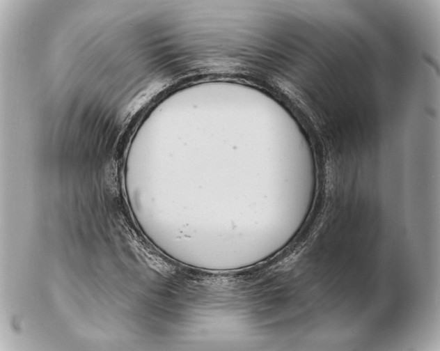 X0000102500970200808291708