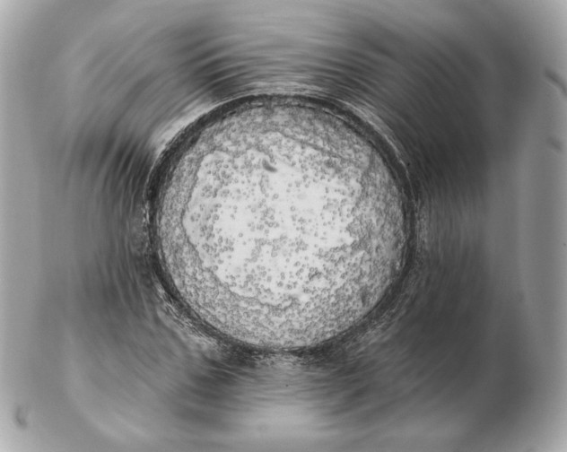 X0000102500971200808291708