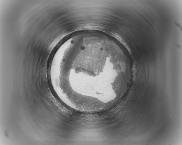 X0000102500972200808291708