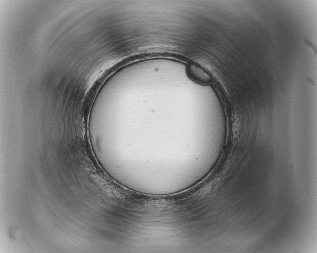 X0000102500973200808291708