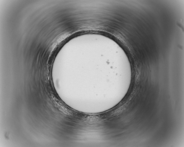 X0000102500974200808291708