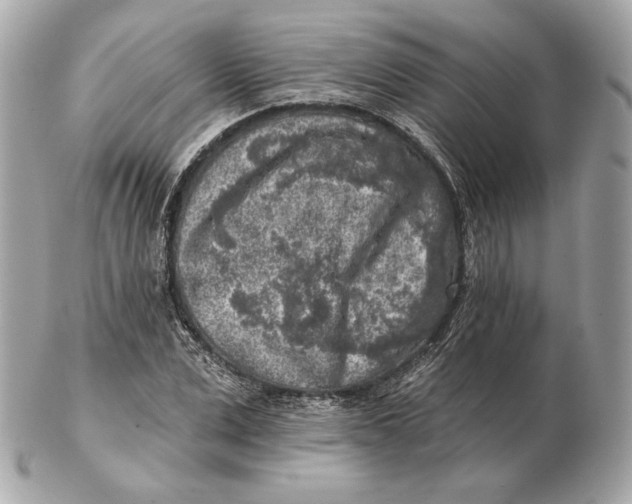 X0000102500975200808291708