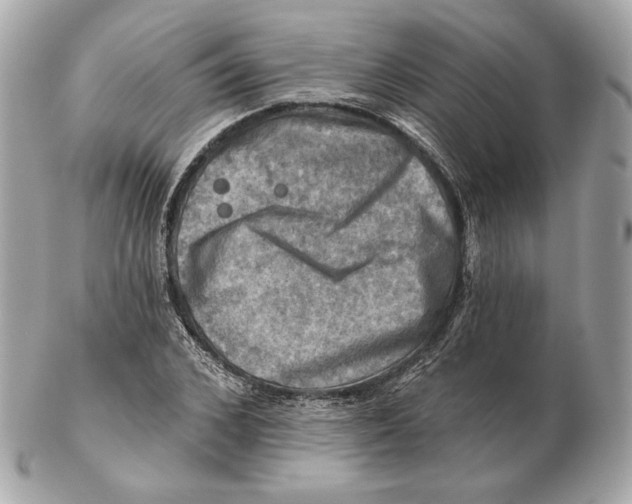 X0000102500976200808291708