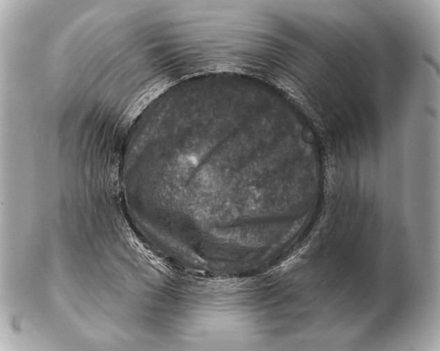 X0000102500977200808291708