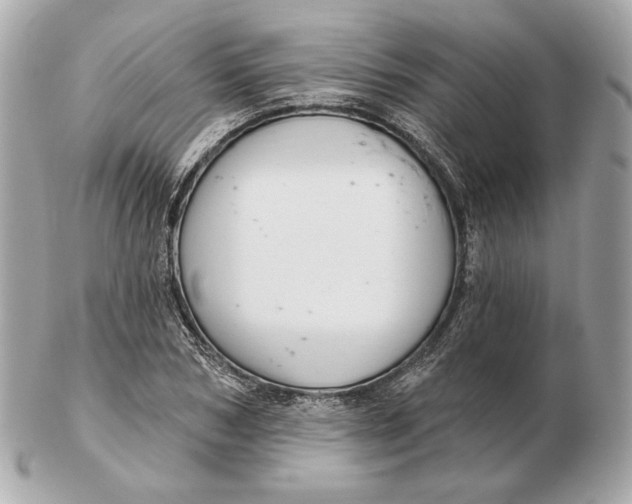 X0000102500978200808291708