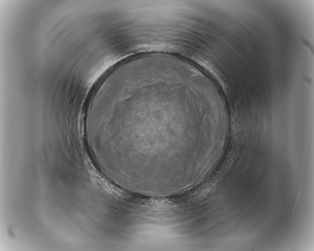 X0000102500983200808291708